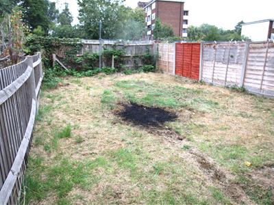 Picture 7